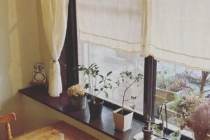 臨時休業します。